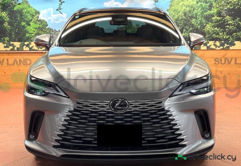 Lexus RX Серый