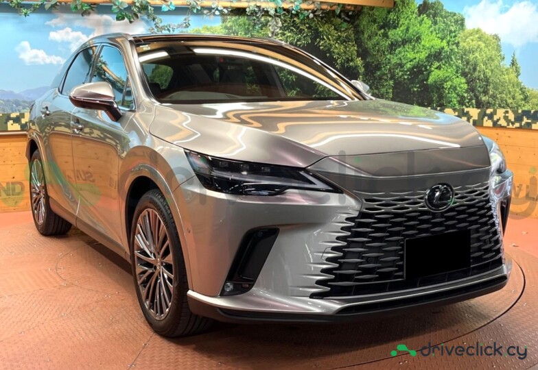 Lexus RX Серый