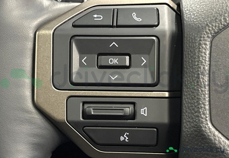 Toyota Land Cruiser 250 Золотой