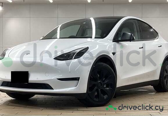 Tesla Model Y Белый