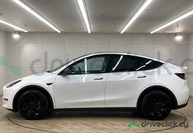 Tesla Model Y Белый