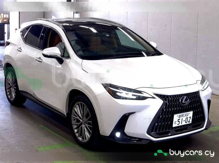 Lexus NX Белый