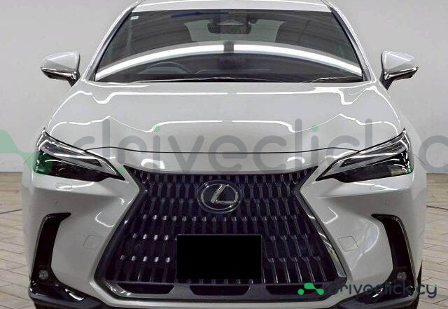Lexus NX Белый