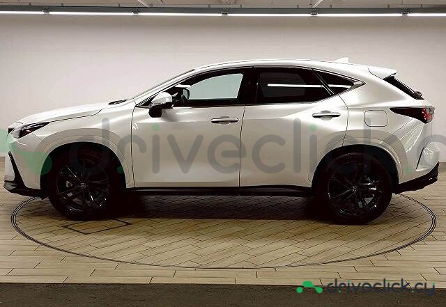 Lexus NX Белый