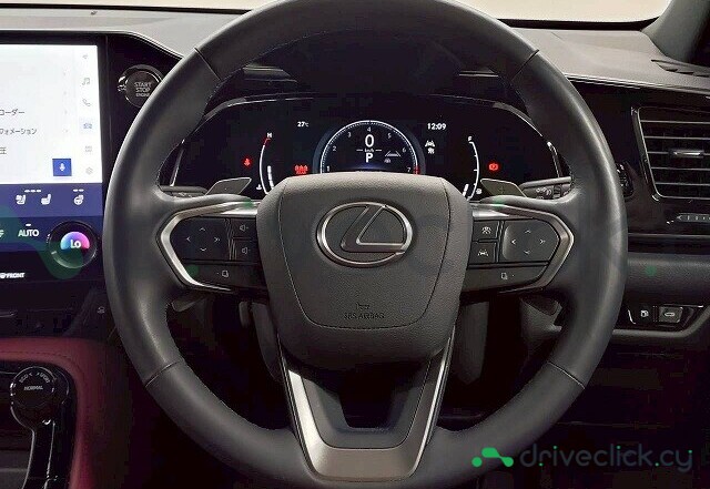 Lexus NX Белый