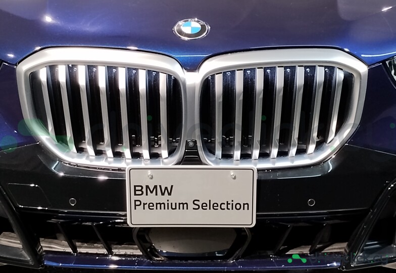 BMW X5 Синий