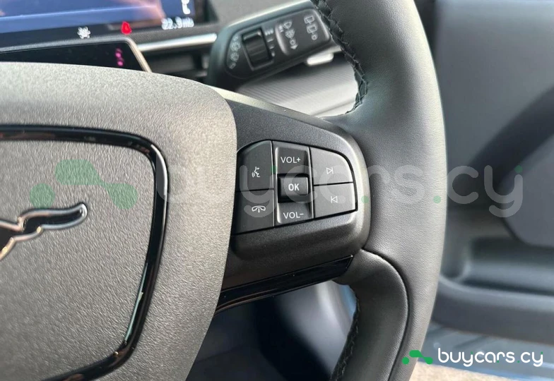 Ford Mustang Mach-E Grey