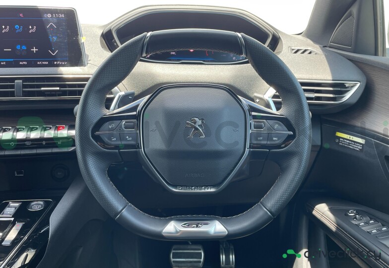 Peugeot 3008 Grey