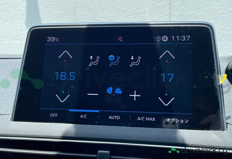 Peugeot 3008 Grey