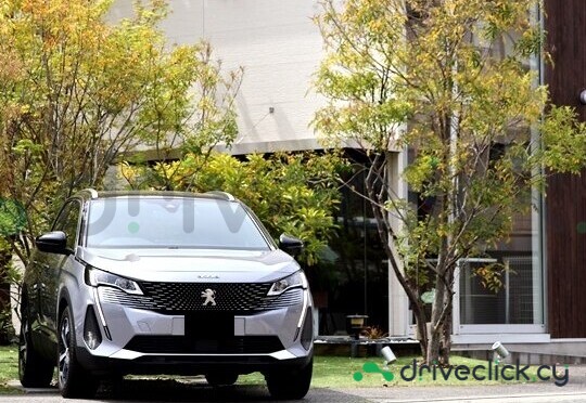 Peugeot 3008 Grey