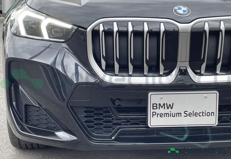 BMW X1 Black