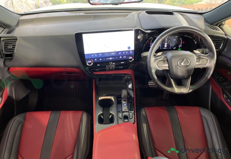 Lexus NX White