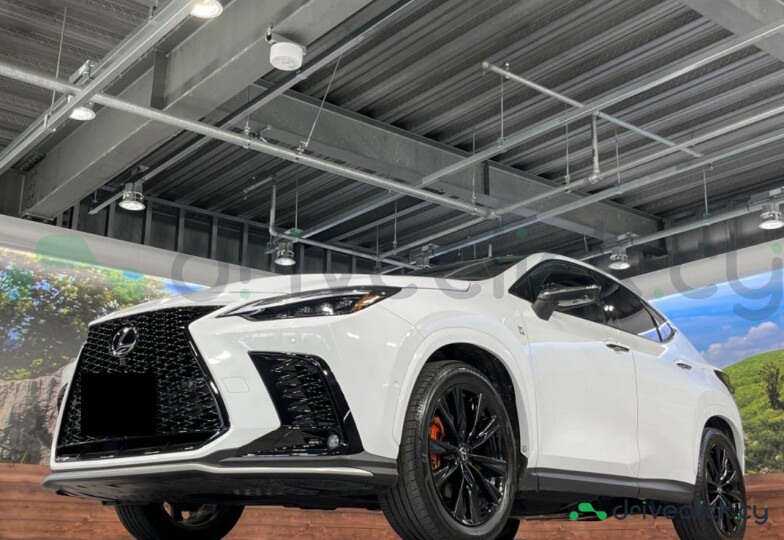 Lexus NX White