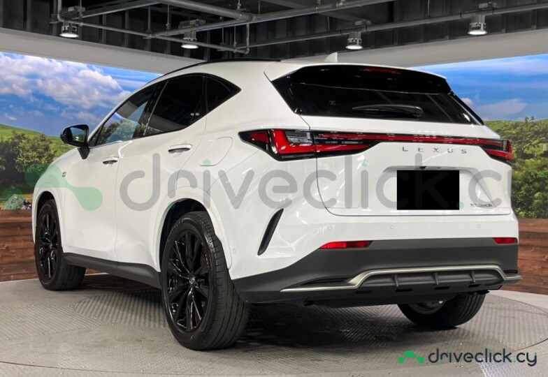 Lexus NX White