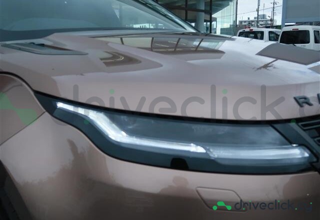 Land Rover Range Rover Evoque Brown