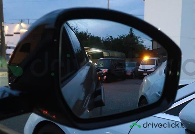Land Rover Range Rover Evoque Brown
