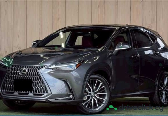 Lexus NX Серый