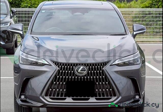 Lexus NX Серый