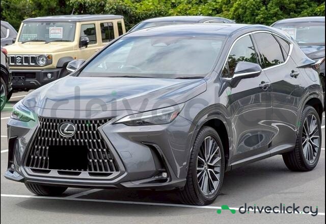 Lexus NX Серый