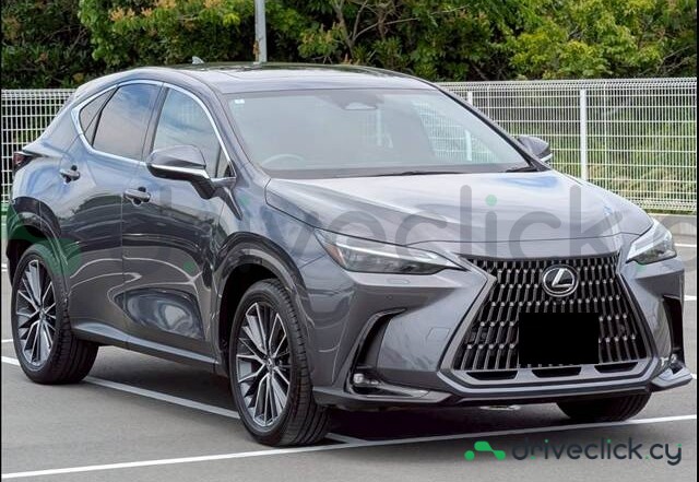 Lexus NX Серый