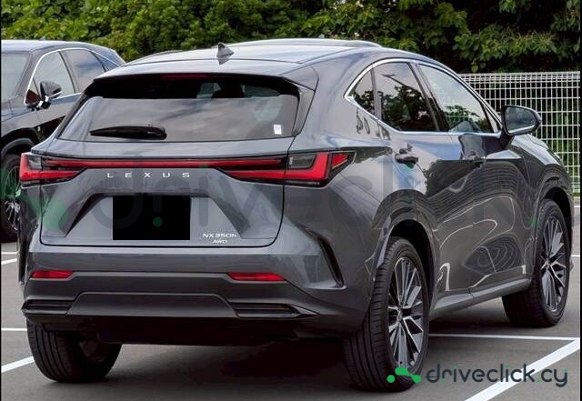 Lexus NX Серый