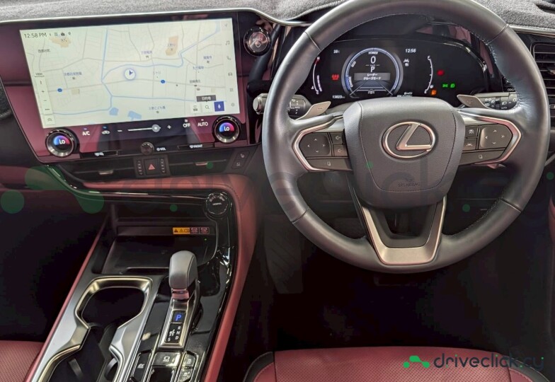 Lexus NX Серый