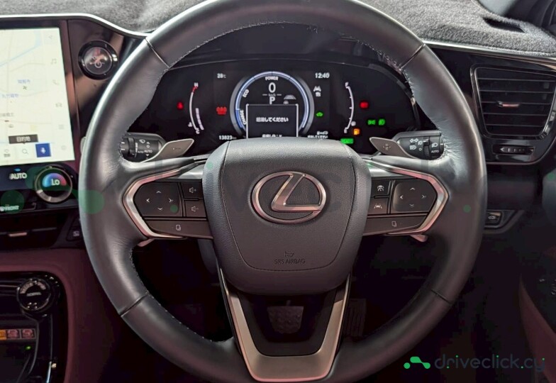 Lexus NX Серый