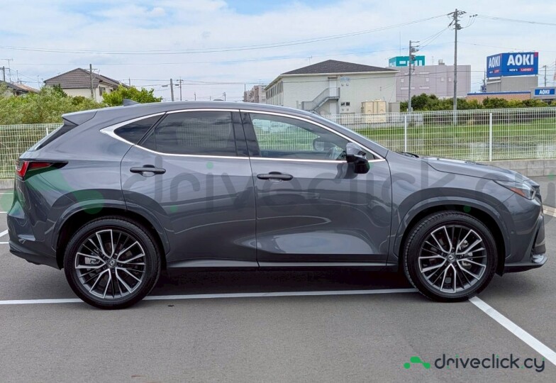 Lexus NX Серый