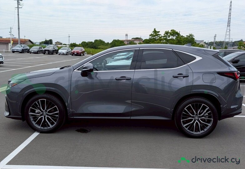 Lexus NX Серый