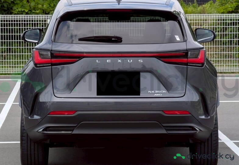 Lexus NX Серый