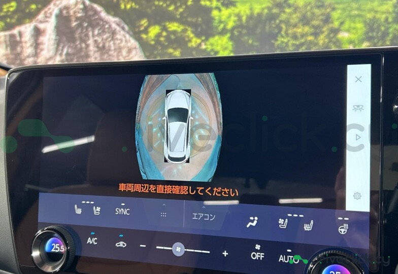 Lexus NX Черный