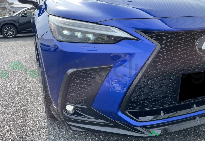 Lexus NX Blue