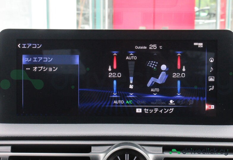 Lexus IS Grey
