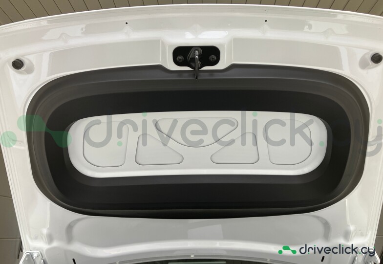 Tesla Model Y White