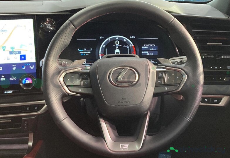 Lexus RX White