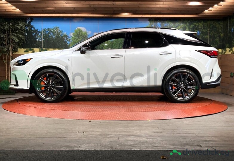 Lexus RX White