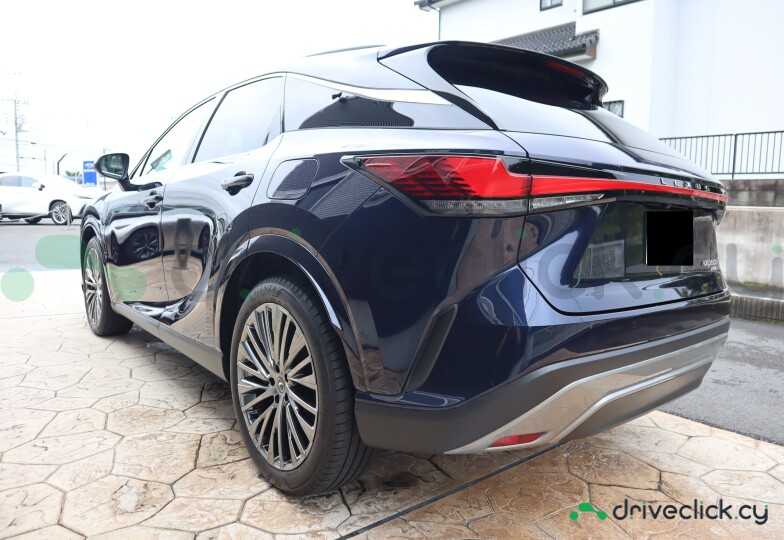 Lexus RX Blue