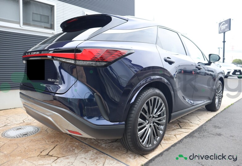 Lexus RX Blue
