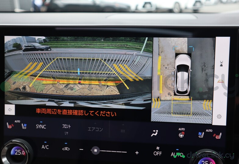 Lexus RX Blue