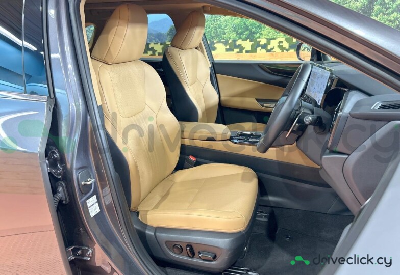 Lexus NX Grey