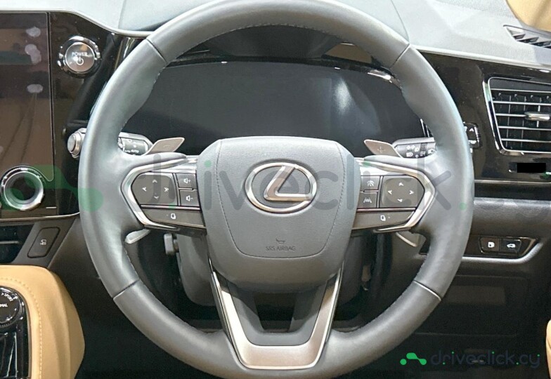 Lexus NX Grey