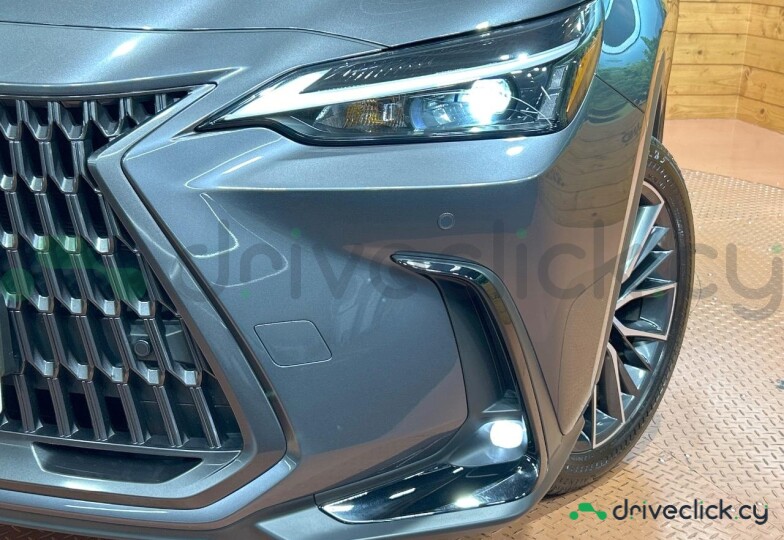 Lexus NX Grey