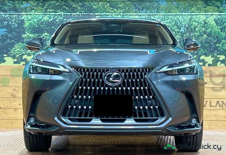 Lexus NX Grey