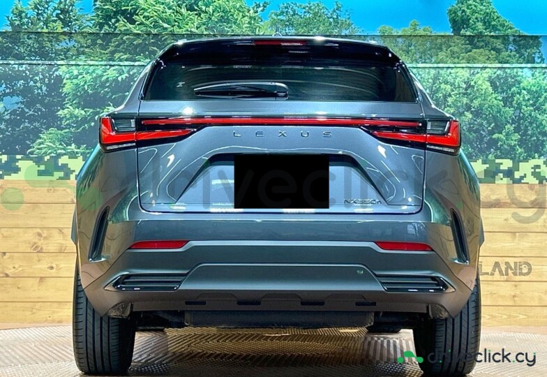 Lexus NX Grey