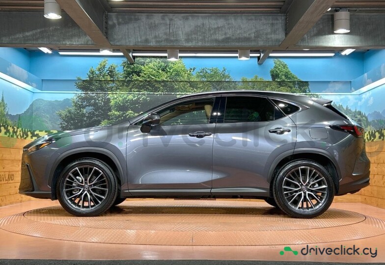 Lexus NX Grey