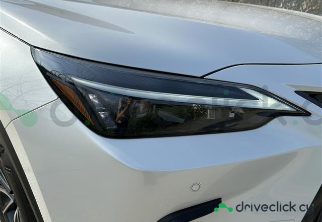 Lexus NX White