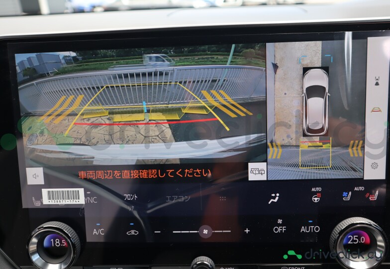 Lexus RX White