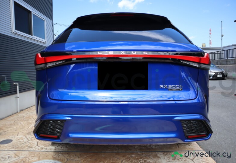 Lexus RX Blue