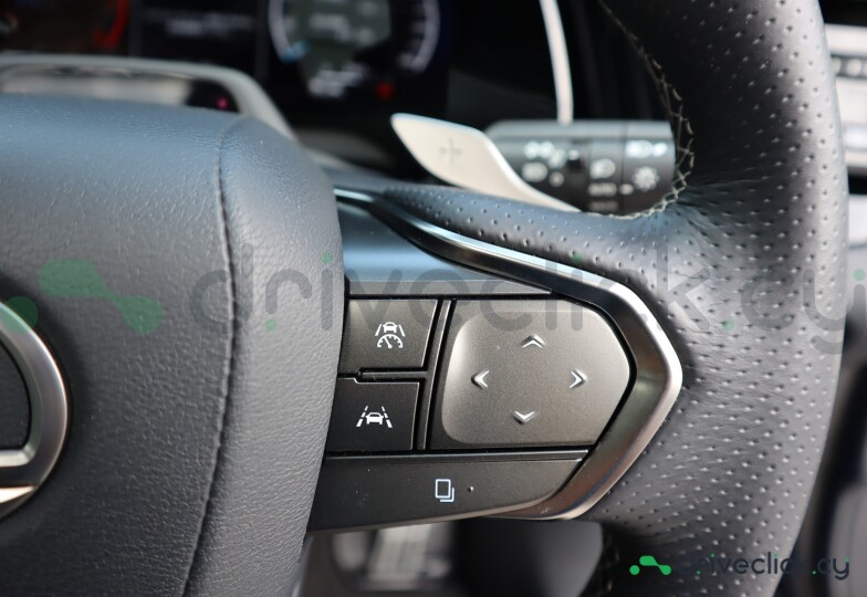 Lexus RX Blue
