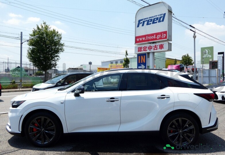 Lexus RX White